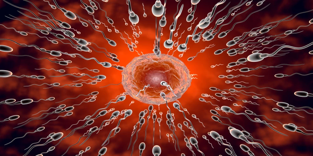Coming soon: The world’s first sperm race – with live commentary, stadium screens, and a serious message Coming soon: The world’s first sperm race – with live commentary, stadium screens, and a serious message